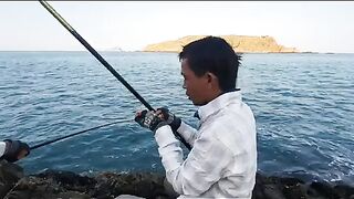 Возвращение на родные скалы Нёнли: двенадцать рыб у Куинёна