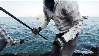 Возвращение на родные скалы Нёнли: двенадцать рыб у Куинёна