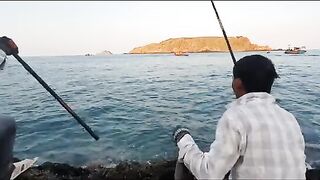 Возвращение на родные скалы Нёнли: двенадцать рыб у Куинёна