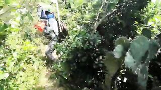 Возвращение на родные скалы Нёнли: двенадцать рыб у Куинёна