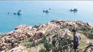 Возвращение на родные скалы Нёнли: двенадцать рыб у Куинёна