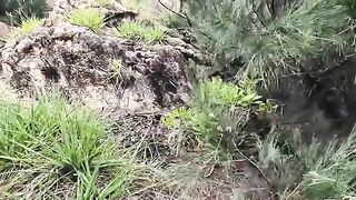 Рыбалка и уха на скалах Байсепа возле Куинёна
