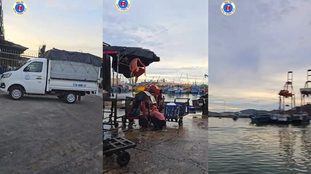 Рыбный порт Куинёна во Вьетнаме: почему к пяти утра лодки уже разгрузили рыбу и покупатели разошлись