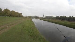 Два дня со спиннингом на Большом острове Брэилы