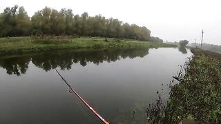 Два дня со спиннингом на Большом острове Брэилы