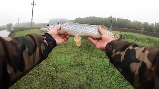 Два дня со спиннингом на Большом острове Брэилы