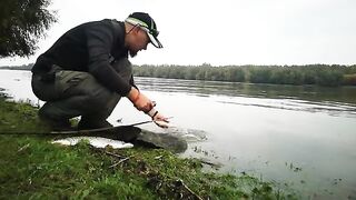 Два дня со спиннингом на Большом острове Брэилы