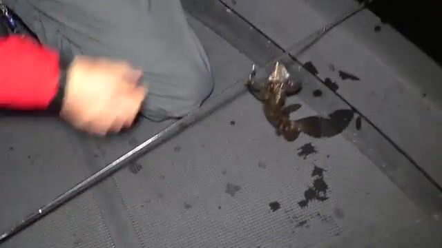 Спиннинги Tict на выставке в Осаке и береговая рыбалка на морского окуня в Японии