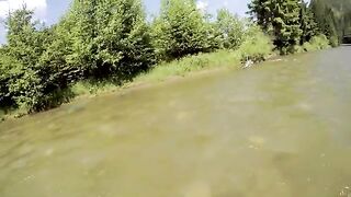 Хариус под ветвями на мелкой реке в Сучаве