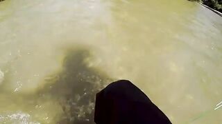 Хариус под ветвями на мелкой реке в Сучаве