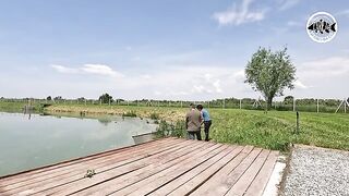 Зеркальный карп почти у самого берега озера Басиана в Сербии