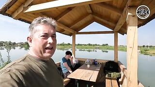 Зеркальный карп почти у самого берега озера Басиана в Сербии