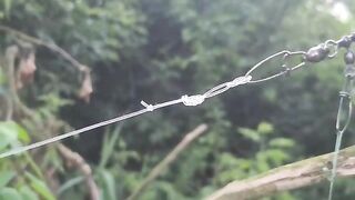 На сома после запрета: две оснастки на берегу реки Муреш