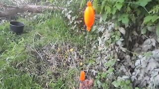 На сома после запрета: две оснастки на берегу реки Муреш