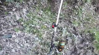На сома после запрета: две оснастки на берегу реки Муреш