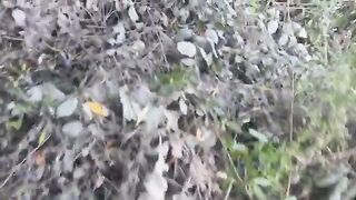 На сома после запрета: две оснастки на берегу реки Муреш