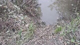 На сома после запрета: две оснастки на берегу реки Муреш
