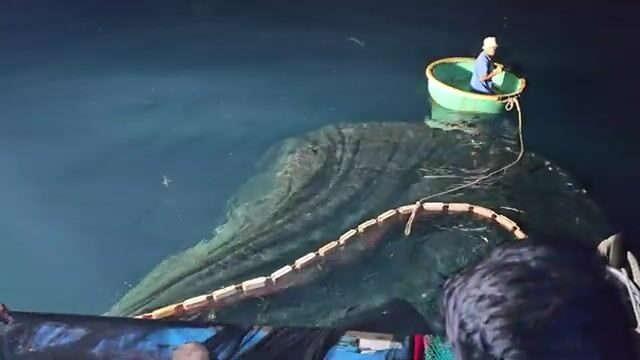 Ночь с рыбаками Нёнли: кальмары, сети и утренний рынок у Куинёна