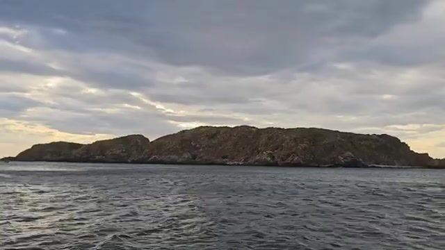 Ночь с рыбаками Нёнли: кальмары, сети и утренний рынок у Куинёна