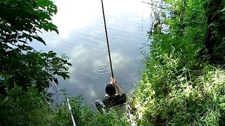 Мертвая Тиса, Сербия: три часа ожидания сазана и неожиданные сомики