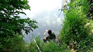Мертвая Тиса, Сербия: три часа ожидания сазана и неожиданные сомики