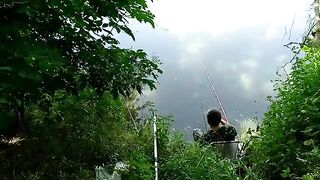 Мертвая Тиса, Сербия: три часа ожидания сазана и неожиданные сомики