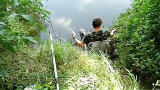 Мертвая Тиса, Сербия: три часа ожидания сазана и неожиданные сомики