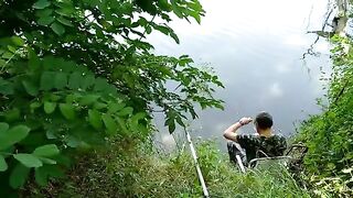 Мертвая Тиса, Сербия: три часа ожидания сазана и неожиданные сомики
