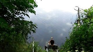Мертвая Тиса, Сербия: три часа ожидания сазана и неожиданные сомики