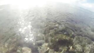 Подводная охота у Доминики: макрель и каранкс на домашний ужин