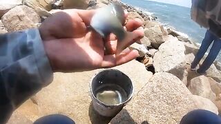 Выходной у моря в Хочаме: мелкую рыбу отпускаем, крупную берем к обеду