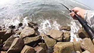 Выходной у моря в Хочаме: мелкую рыбу отпускаем, крупную берем к обеду