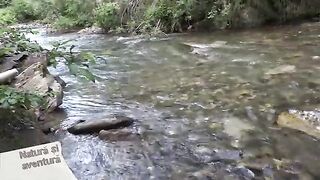 Четыре форели за восемь минут на реке Валеа-Ря