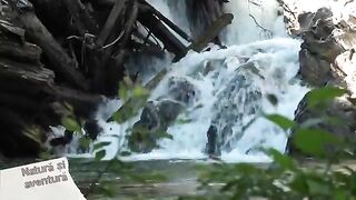 Четыре форели за восемь минут на реке Валеа-Ря