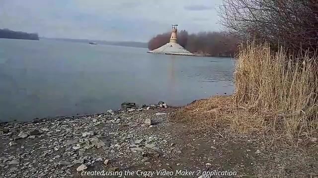 Где Тамиш впадает в Дунай: знакомое место для берегового спиннинга и отдыха с друзьями в Сербии
