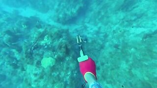 Мутная вода после дождей: подводная охота у Пойнт-Мишель на Доминике