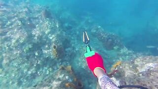 Мутная вода после дождей: подводная охота у Пойнт-Мишель на Доминике