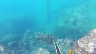 Мутная вода после дождей: подводная охота у Пойнт-Мишель на Доминике