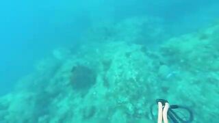 Мутная вода после дождей: подводная охота у Пойнт-Мишель на Доминике