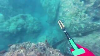 Мутная вода после дождей: подводная охота у Пойнт-Мишель на Доминике