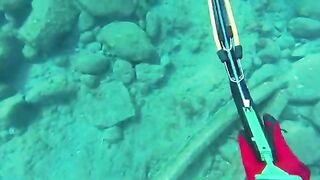 Мутная вода после дождей: подводная охота у Пойнт-Мишель на Доминике