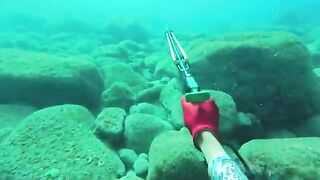 Мутная вода после дождей: подводная охота у Пойнт-Мишель на Доминике
