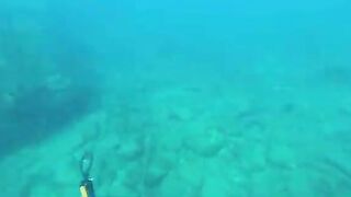 Мутная вода после дождей: подводная охота у Пойнт-Мишель на Доминике