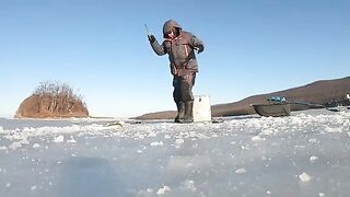 Первого января за навагой у острова Русский