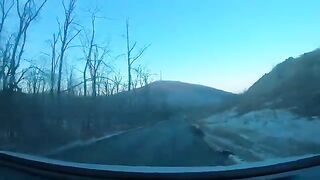 Первого января за навагой у острова Русский