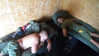 Карпы у камыша и ночные поклевки на Тынкэбешть