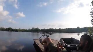 Карпы у камыша и ночные поклевки на Тынкэбешть