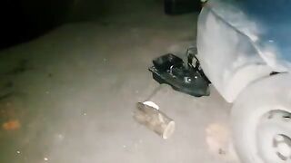 Весенний ветер на озерах Вэдени под Галацем