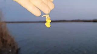Весенний ветер на озерах Вэдени под Галацем