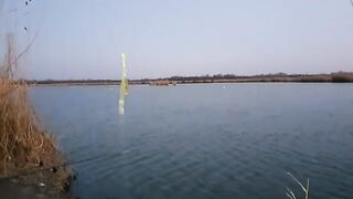 Весенний ветер на озерах Вэдени под Галацем